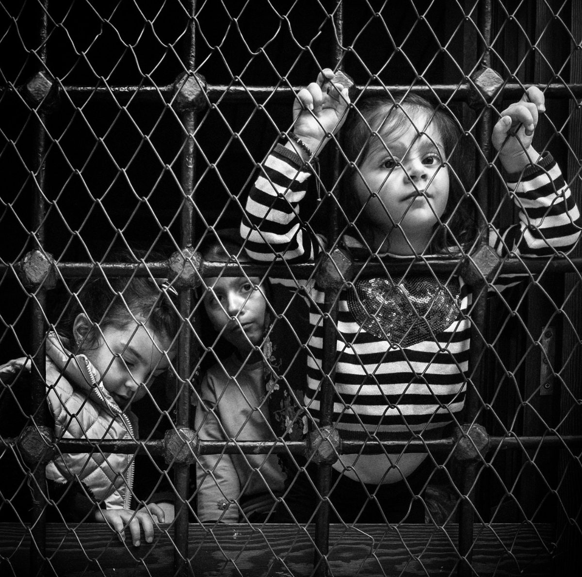 Black-and-white photograph by Rob Adams of children looking through a wire fence