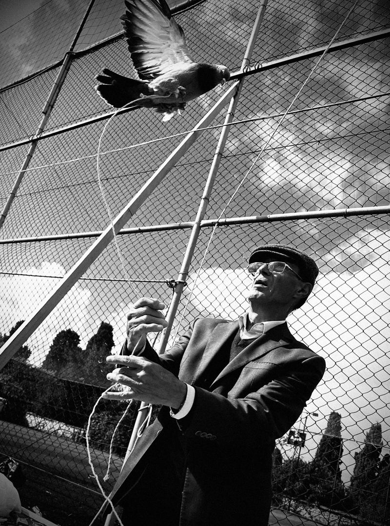 Photograph by Rob Adams (9 of 97)